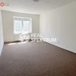 Rent 3 bedroom apartment of 70 m² in Brno