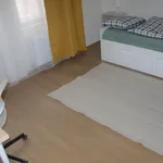 Rent 3 bedroom apartment in Prague