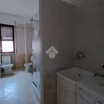 Rent 4 bedroom apartment of 100 m² in Caserta