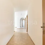 Rent 3 bedroom apartment of 90 m² in Tschirland - Cirlano