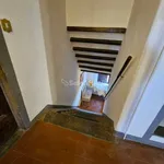 Rent 3 bedroom apartment of 60 m² in Pisa