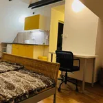 Studio o rozloze 32 m² v Brno