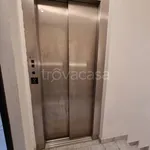 Rent 5 bedroom apartment of 100 m² in Viareggio