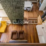 Rent 5 bedroom house of 550 m² in Zagreb