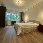 Rent 4 bedroom apartment of 80 m² in Berlin