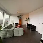 Rent 1 bedroom apartment in Gent