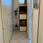 Rent 4 bedroom apartment of 90 m² in Misano Adriatico