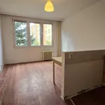 Rent 1 bedroom apartment in Trhový Štěpánov