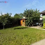 Rent 2 bedroom apartment of 47 m² in Přerov nad Labem