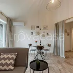 Rent 1 bedroom apartment of 50 m² in Firenze