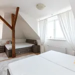 Pronajměte si 6 ložnic/e byt o rozloze 190 m² v Prague