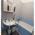 Pronajměte si 2 ložnic/e byt o rozloze 43 m² v Prague