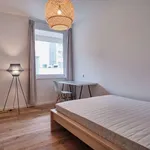 Rent a room in berlin