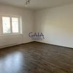 Rent 4 bedroom apartment in Hodonín