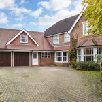 Rent 5 bedroom house in South East England