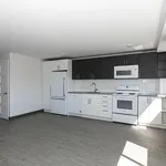  appartement avec 1 chambre(s) en location à Montreal