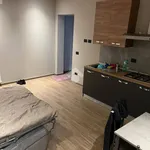 Rent 1 bedroom apartment of 40 m² in Novara