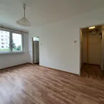 Rent 1 bedroom apartment of 30 m² in Kalisz