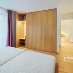 Pronajměte si 4 ložnic/e byt o rozloze 142 m² v Prague