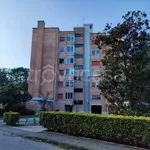 Rent 4 bedroom apartment of 80 m² in Ferrara