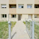 Rent 4 bedroom apartment of 110 m² in Bologna