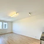 Rent 1 bedroom apartment of 33 m² in Praha