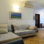 Rent 3 bedroom apartment of 100 m² in Cervia