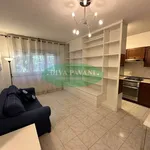 Rent 2 bedroom apartment of 55 m² in San Donato Milanese