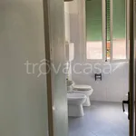 Rent 3 bedroom apartment of 77 m² in Bologna