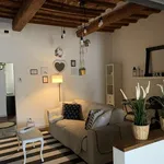 Rent 1 bedroom apartment of 60 m² in florence