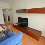 Rent 2 bedroom apartment of 55 m² in Debrecen