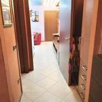 Rent 2 bedroom apartment of 50 m² in Prato