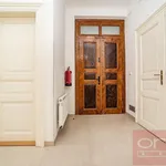 Rent 3 bedroom apartment of 110 m² in Prague