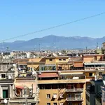 Rent 1 bedroom apartment in Rome