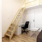 Rent 1 bedroom apartment in Brno