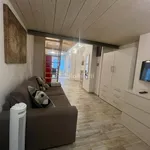 Rent 2 bedroom apartment of 50 m² in Turin