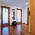 Rent 3 bedroom apartment of 95 m² in Praha