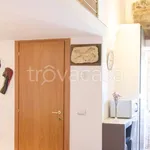 Rent 1 bedroom apartment of 38 m² in Firenze