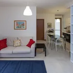 Rent 1 bedroom apartment in Rome