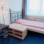 Rent a room of 80 m² in Prague