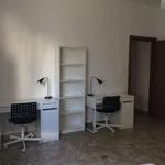 Rent a room in bologna