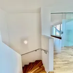 Rent 6 bedroom apartment of 210 m² in Wien