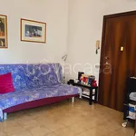 Rent 2 bedroom apartment of 55 m² in Verona