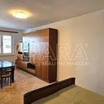 Rent 3 bedroom apartment of 57 m² in Beroun