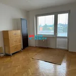 Pronájem bytu 1+1 43m²