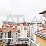 Rent 5 bedroom apartment of 311 m² in Prague