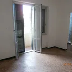 Rent 4 bedroom apartment of 85 m² in Genova