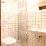 Rent 2 bedroom apartment of 73 m² in Trhový Štěpánov