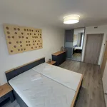 Pronajměte si 2 ložnic/e byt o rozloze 62 m² v Prague