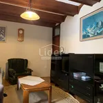 Rent 3 bedroom apartment of 55 m² in Grad Rijeka